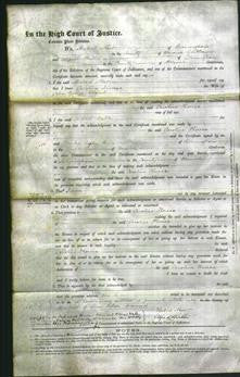 Court of Common Pleas - Caroline Theresa Bland-Original Ancestry