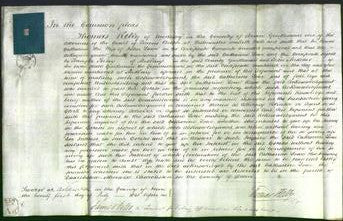 Court of Common Pleas - Catharine Lowe-Original Ancestry