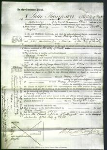 Court of Common Pleas - Mary Taylor-Original Ancestry