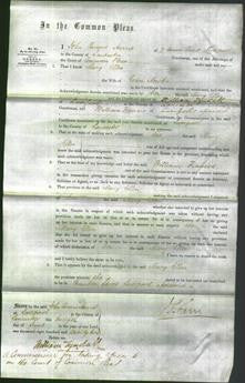 Court of Common Pleas - Mary Ellen Newton-Original Ancestry