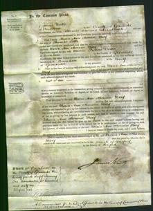 Court of Common Pleas - Maria Ann Little-Original Ancestry