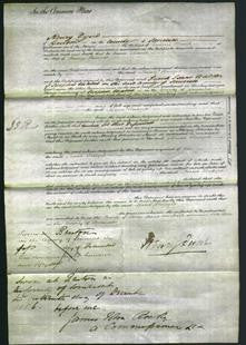 Court of Common Pleas - Maria Budgett-Original Ancestry