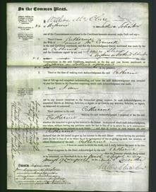 Court of Common Pleas - Catherine McCormack-Original Ancestry