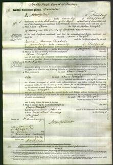 Court of Common Pleas - Ann Wright-Original Ancestry