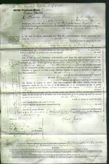 Court of Common Pleas - Mary Williams-Original Ancestry