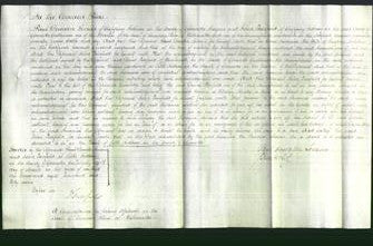 Court of Common Pleas - Susanna Lockstone-Original Ancestry