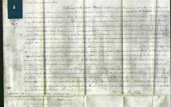 Court of Common Pleas - Louisa Homer-Original Ancestry