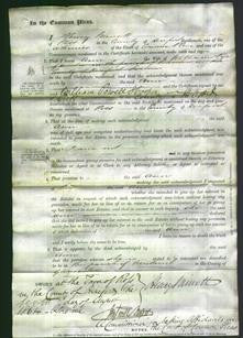 Court of Common Pleas - Ann Pye-Original Ancestry