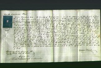 Court of Common Pleas - Catherine Vince