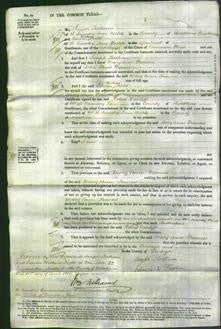 Court of Common Pleas - Mary Anne Frances Wynne-Original Ancestry