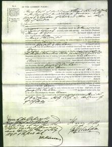 Court of Common Pleas - Ann Phillips-Original Ancestry