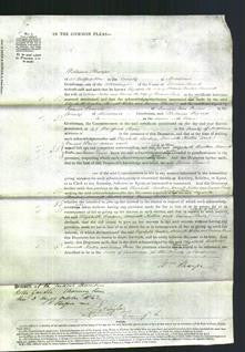 Court of Common Pleas - Elizabeth Barker, Harriett Nutter and Emma Price-Original Ancestry