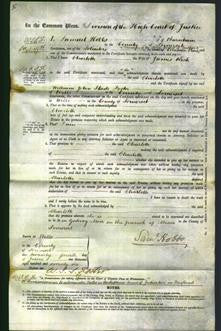 Court of Common Pleas - Charlotte Rich-Original Ancestry