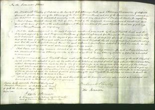 Court of Common Pleas - Elizabeth Sarah Ward-Original Ancestry