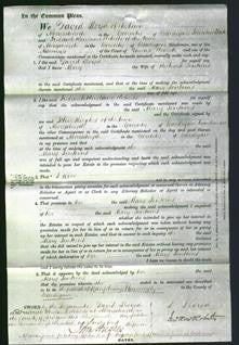 Court of Common Pleas - Mary Jenkins-Original Ancestry