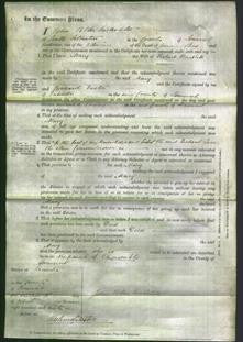 Court of Common Pleas - Mary Bartlett-Original Ancestry