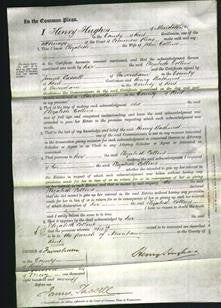 Court of Common Pleas - Elizabeth Collins-Original Ancestry