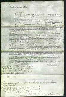 Court of Common Pleas - Agnes Nicholson-Original Ancestry