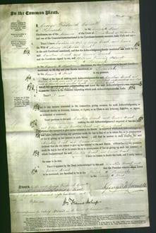 Court of Common Pleas - Caroline Cronk and Emma Cronk