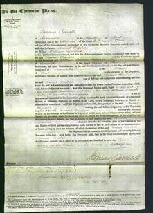 Court of Common Pleas - Harriet Elizabeth Lambard-Original Ancestry