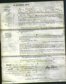 Court of Common Pleas - Eliza Serjeant-Original Ancestry