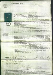 Court of Common Pleas - Anne Beedham-Original Ancestry