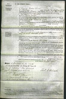 Court of Common Pleas - Maria Charlotte Dodge-Original Ancestry