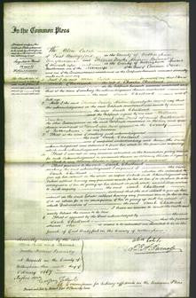 Court of Common Pleas - Sarah Challand-Original Ancestry