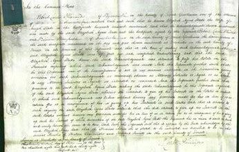 Court of Common Pleas - Elizabeth Agnes Slade-Original Ancestry