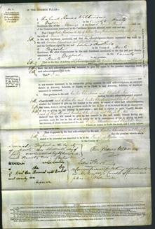 Court of Common Pleas - Cecilia Christiana Richardson and Elizabeth Ann Bevis-Original Ancestry