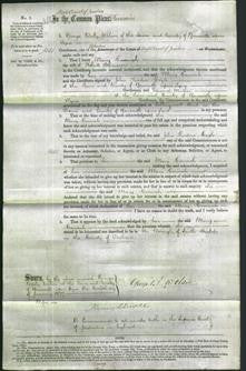 Court of Common Pleas - Mary Hannah Atkinson-Original Ancestry