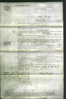 Court of Common Pleas - Thomasin Theaker-Original Ancestry