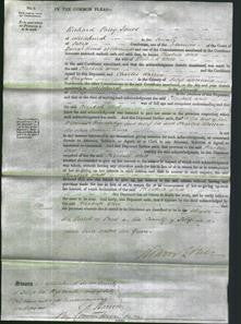 Court of Common Pleas - Elizabeth Wall-Original Ancestry