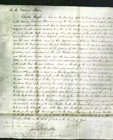 Court of Common Pleas - Priscilla Naylor-Original Ancestry