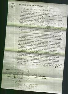 Court of Common Pleas - Mary Price