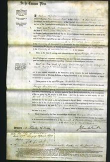 Court of Common Pleas - Eliza Kirwood Brickhill-Original Ancestry