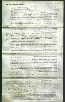 Court of Common Pleas - Emma Watson-Original Ancestry