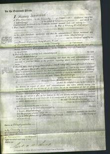 Court of Common Pleas - Ann Hutchings-Original Ancestry