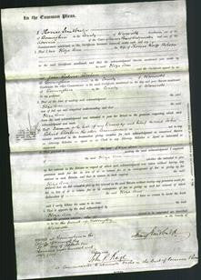 Court of Common Pleas- Eliza Ann Hobson-Original Ancestry