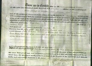 Deed by Married Women - Tara Davy Theed-Original Ancestry