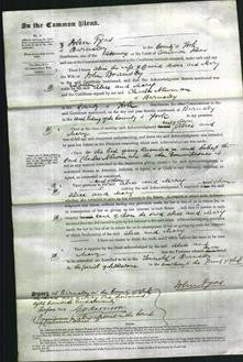 Court of Common Pleas - Alice Potter and Mary Bramsby-Original Ancestry