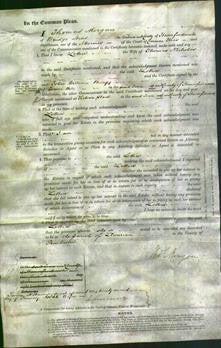 Court of Common Pleas - Lettice Nicholas-Original Ancestry