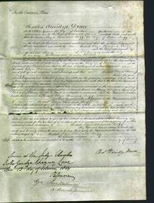 Court of Common Pleas - Eliza Clemans Trigg-Original Ancestry