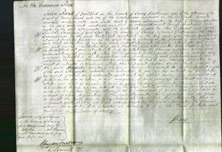 Court of Common Pleas - Margaretta Haydon-Original Ancestry