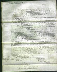 Court of Common Pleas - Rebecca Bisbrown-Original Ancestry