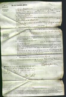 Court of Common Pleas - Elizabeth Cantrell