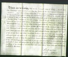 Deed by Married Women - Anne Evans and Rachel Phillips-Original Ancestry