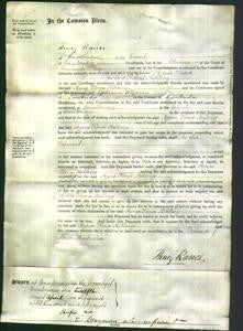 Court of Common Pleas - Agnes Flora Ashling-Original Ancestry