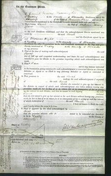 Court of Common Pleas - Sarah Davis-Original Ancestry