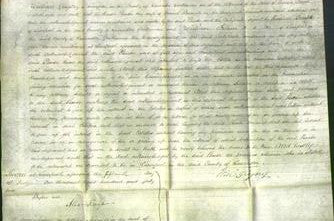 Court of Common Pleas - Phoebe Bannon-Original Ancestry